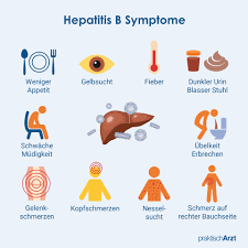 hepatitis b prävention