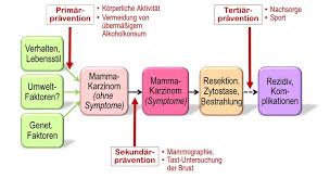 rehabilitation prävention